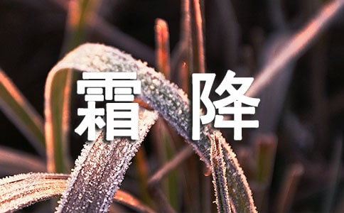 С�����ν̰�˪��