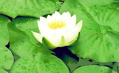 �а��ѧ������˯���̰�