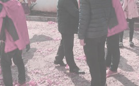̽�׵����뺯����