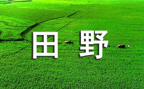 ���ǵ���Ұ�̰�10ƪ
