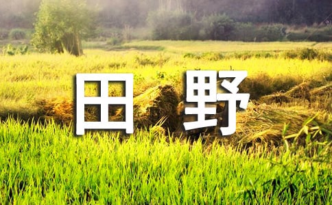 �����ǵ���Ұ����ѧ���