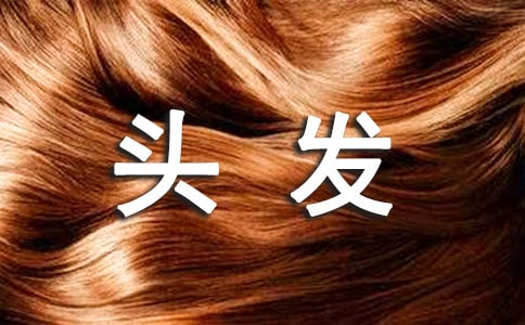 С��ʨ�ӵ�ͷ���̰�