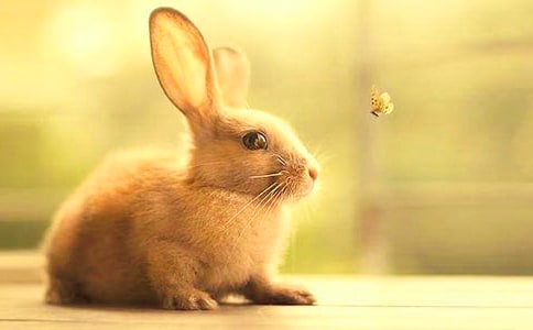 �а�����û�ж�������ӽ̰�