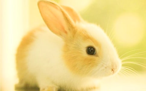 ��࿴ͼ������̰�����������ӡ�