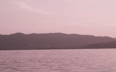 �а����⡶���������衷�̰�����˼