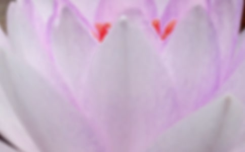 �а��ʮ�Ľ��������̰�