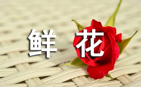 �ʻ�������ͬ