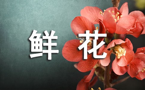�ʻ�������ͬ5ƪ