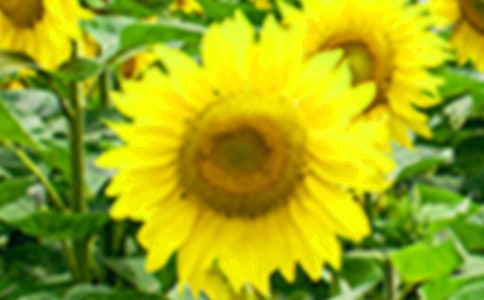 �а������̰����տ�