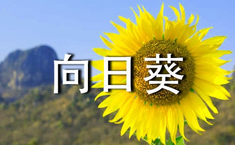 ���տ��̰�����ѡ24ƪ��