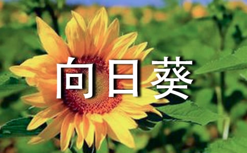 ���տ�˵�θ�