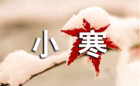 С�����������������̰�
