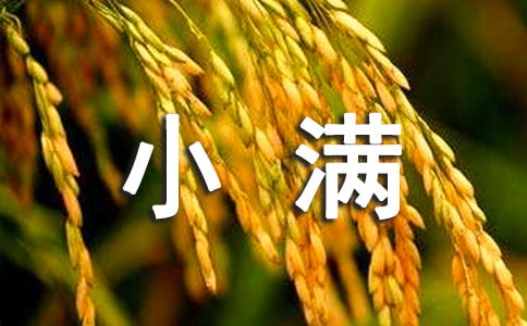 С�������̰�