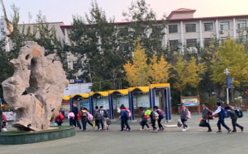 �Ͷ�����ٹ�����Сѧ���Ľ����壨��ѡ5ƪ��