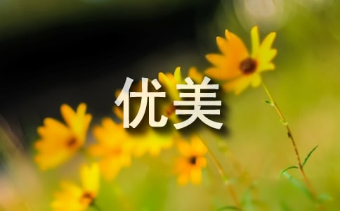 ����������δ�ȫ