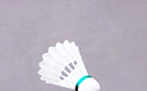 (�Ƽ�)��ë���ѧ�ƻ�15ƪ