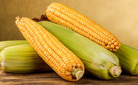 ���׹�����ͬ�ϼ�15ƪ