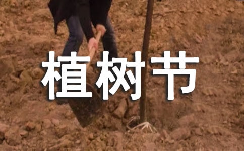 小学植树节活动方案策划
