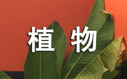 �������ֲ�����硷��ѧ��˼