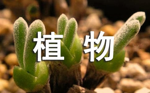 ֲ�������а취��ѧ��˼(��ѡ3ƪ)