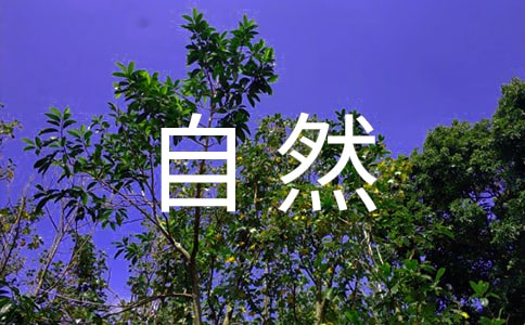 ��η��Ȼ�̰�����