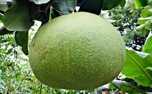 С�ཡ���̰�������