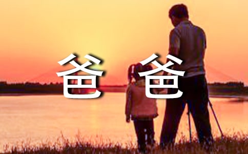 我爸爸和我教案及反思