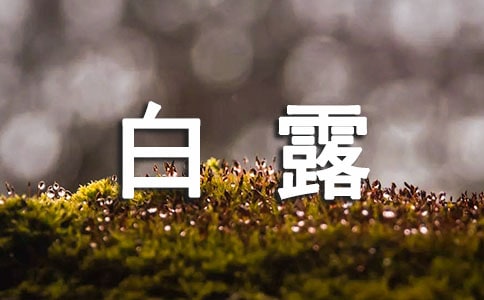 ��¶�����̰�