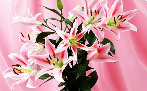 ���ٺϻ�����˵�θ塾��Ʒ��
