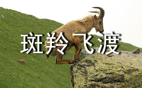 ������ɶɡ��Ľ̰�15ƪ