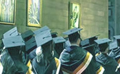 ��Сѧ��ҵ���߻�����