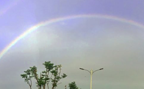 ���ţ����ʺ硷�̰�