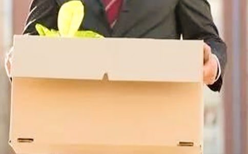 ��ְ������15ƪ(ʵ��)