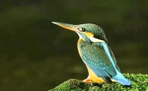 �йش���̰��ϼ�10ƪ