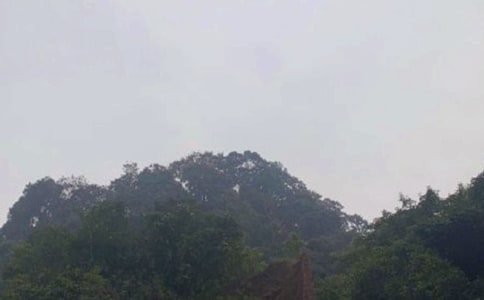 ��üɽ�¸�̰�11ƪ