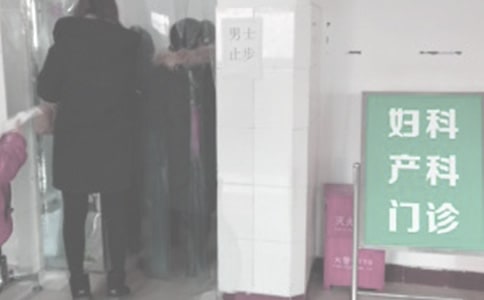 �����ƹ����ܽἯ��15ƪ