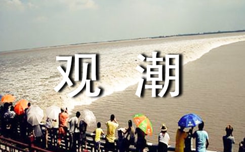 �˽̰桶�۳����̰�