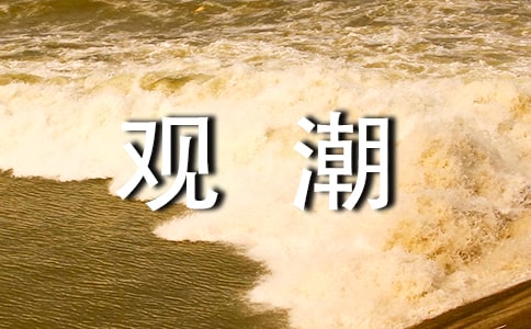 ���꼶�۳��̰�����Сѧ���꼶���۳����̰�
