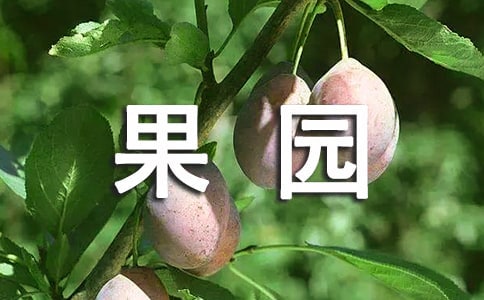 合伙种植果园协议书(通用5篇)