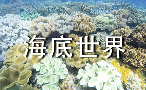 ���������硷���ý̰�