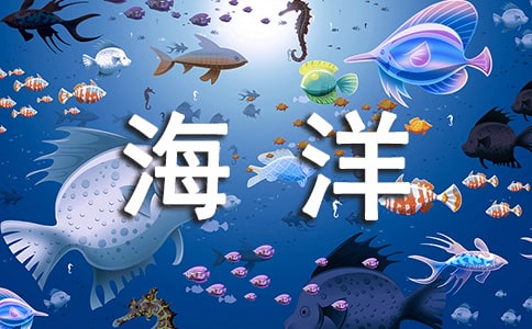 ���Ƽ������纣���������߻�����2ƪ
