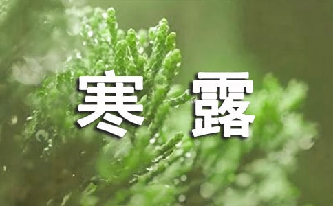 ��¶�����̰���ͨ��9ƪ��
