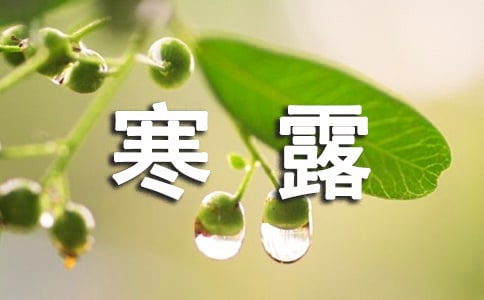 ��¶�����̰�ģ�壨��ѡ6ƪ��