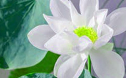 ���ںɻ��̰����ļ�����ƪ