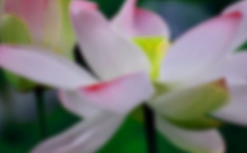 �ɻ��̰�������ƪ