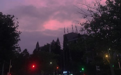 ��ҹ����˵�θ�