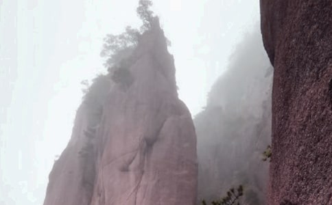 ��ɽ����˵�θ�15ƪ