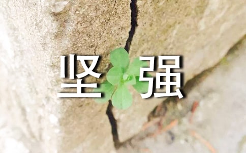���꼶�����²ᡶ������ѡ���ǿ����ѧ���