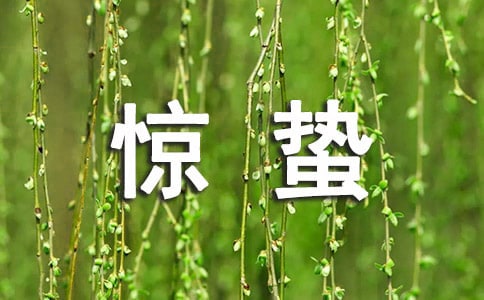 惊蛰大班教案