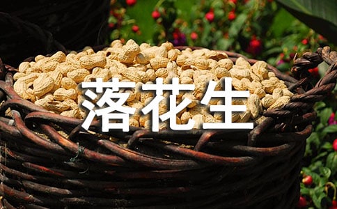 ���仨�����̰�ģ�弯��8ƪ